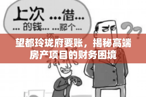 望都玲珑府要账，揭秘高端房产项目的财务困境
