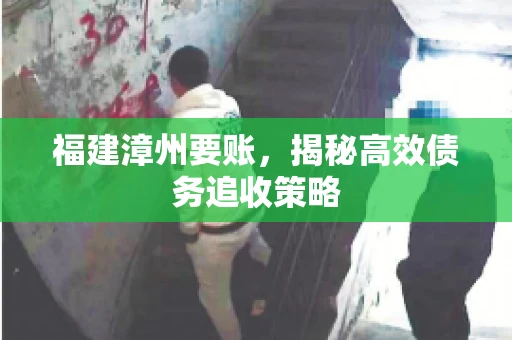 福建漳州要账，揭秘高效债务追收策略