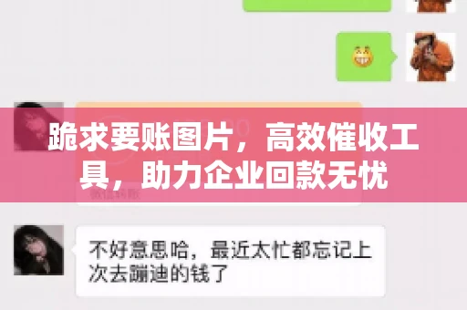 跪求要账图片，高效催收工具，助力企业回款无忧