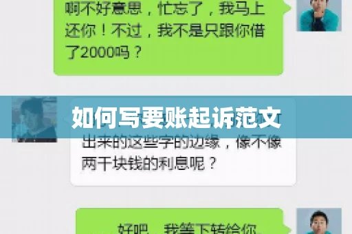 如何写要账起诉范文