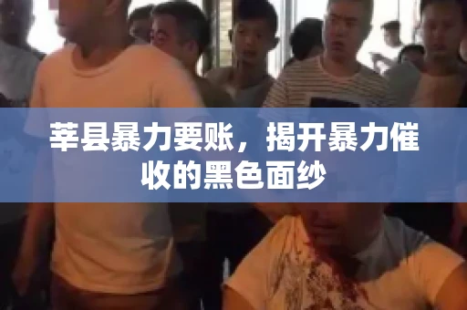 莘县暴力要账,揭开暴力催收的黑色面纱 莘县暴力要账,揭开暴力催收的黑色面纱