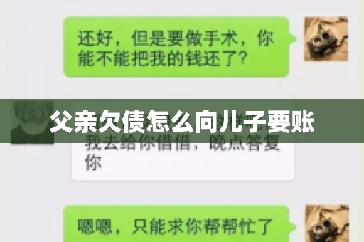 父亲欠债怎么向儿子要账
