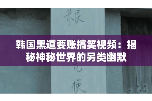 韩国黑道要账搞笑视频：揭秘神秘世界的另类幽默