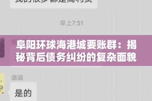 阜阳环球海港城要账群：揭秘背后债务纠纷的复杂面貌