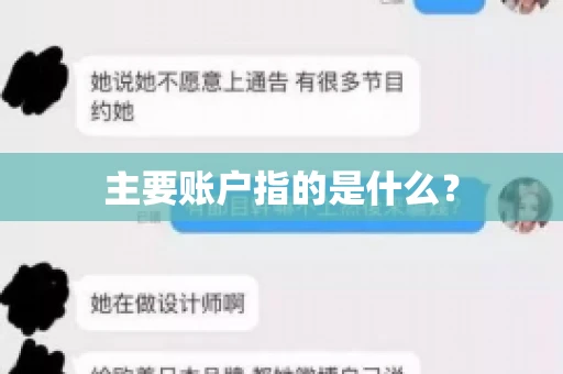 主要账户指的是什么？