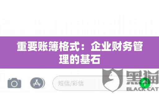 重要账簿格式：企业财务管理的基石