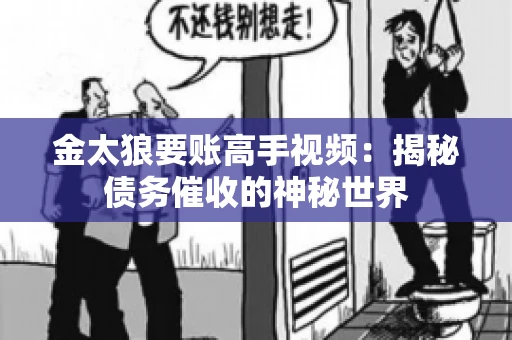 金太狼要账高手视频：揭秘债务催收的神秘世界