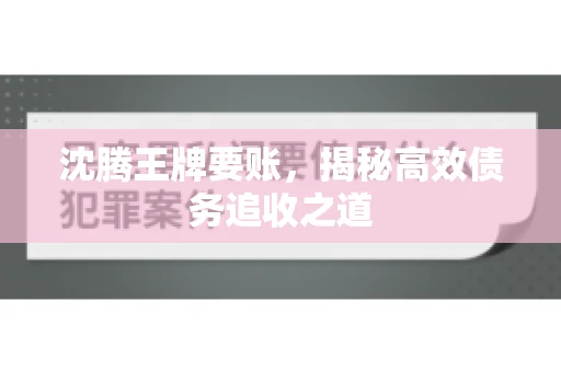 沈腾王牌要账，揭秘高效债务追收之道