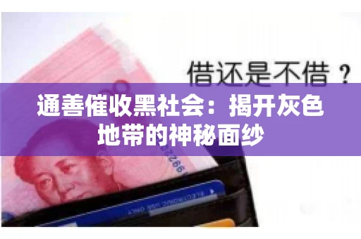 通善催收黑社会：揭开灰色地带的神秘面纱