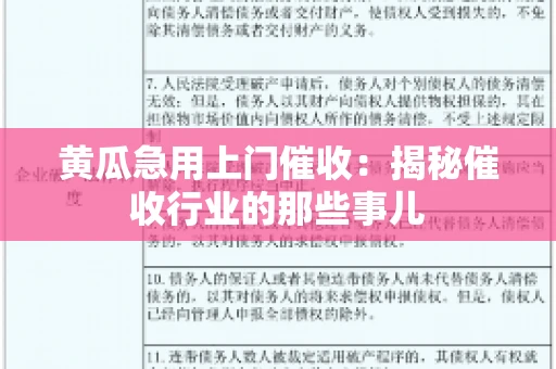 黄瓜急用上门催收：揭秘催收行业的那些事儿
