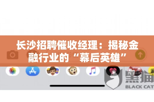长沙招聘催收经理：揭秘金融行业的“幕后英雄”